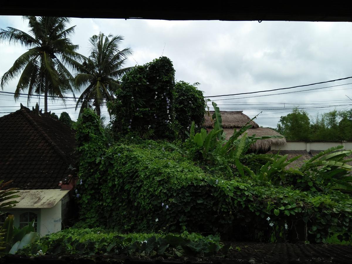 Villa Gaia Ubud Zewnętrze zdjęcie