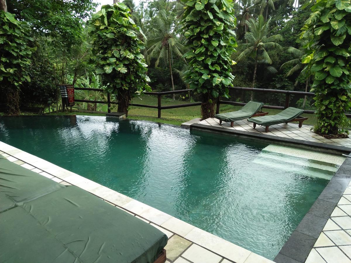 Villa Gaia Ubud Zewnętrze zdjęcie