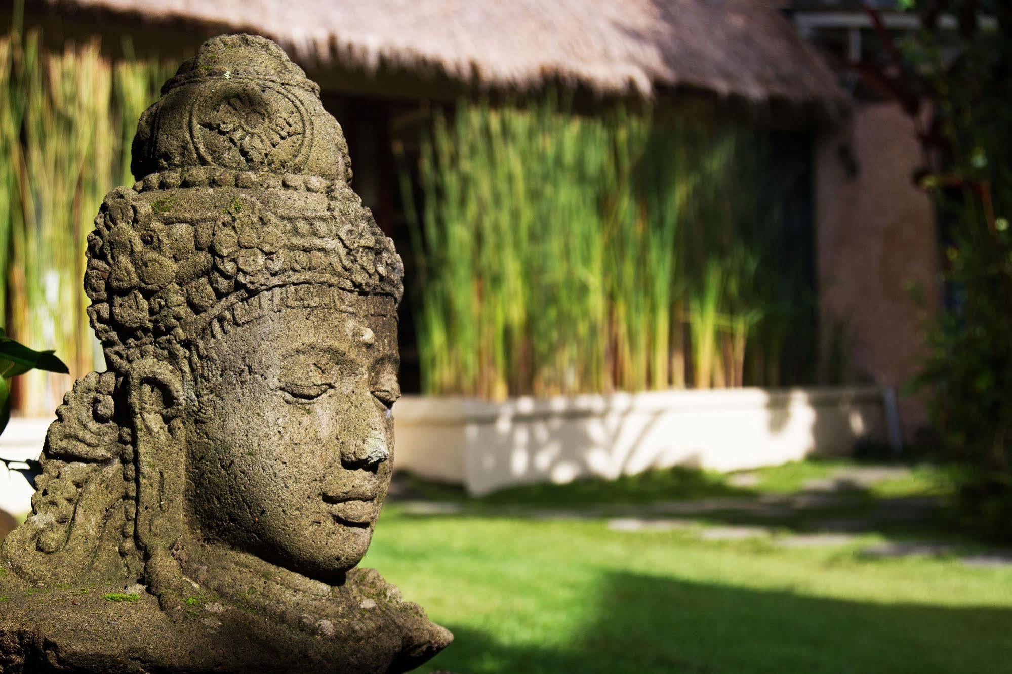Villa Gaia Ubud Zewnętrze zdjęcie